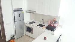 eco photo thumbnail #16